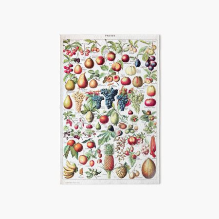 Adolphe Millot - Fruits pour tous - French vintage poster Art Board Print