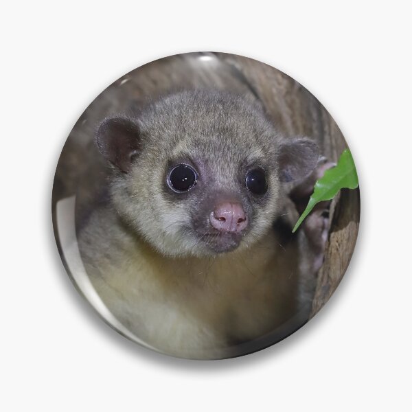 Item preview, Kinkajou designed and sold by mlorenz.