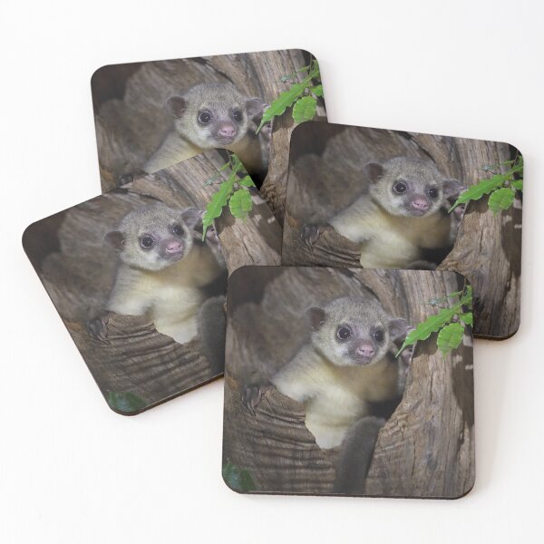 Item preview, Kinkajou designed and sold by mlorenz.