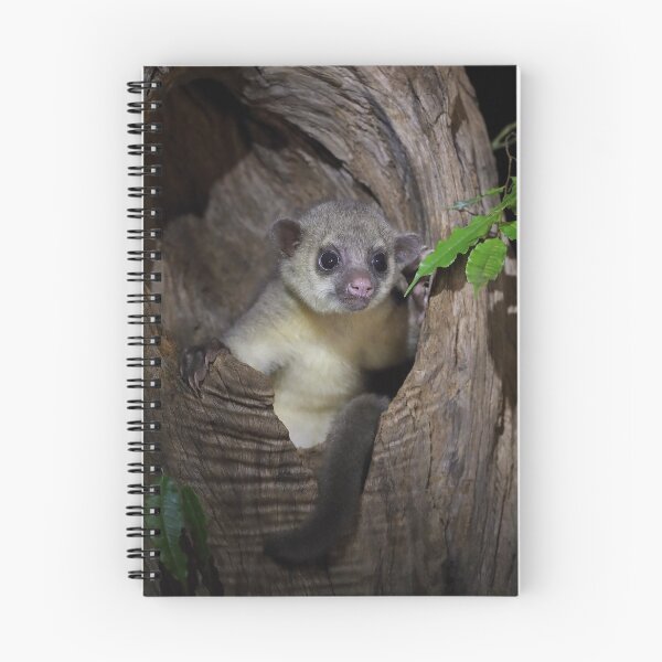 Item preview, Kinkajou designed and sold by mlorenz.