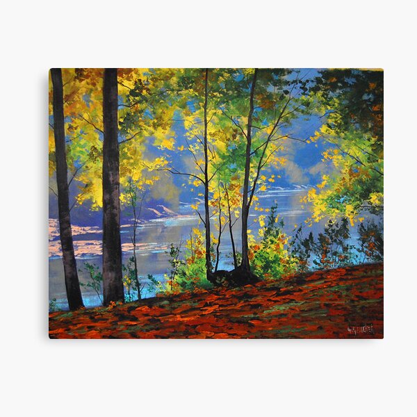 River Bank Tumut, nsw Canvas Print