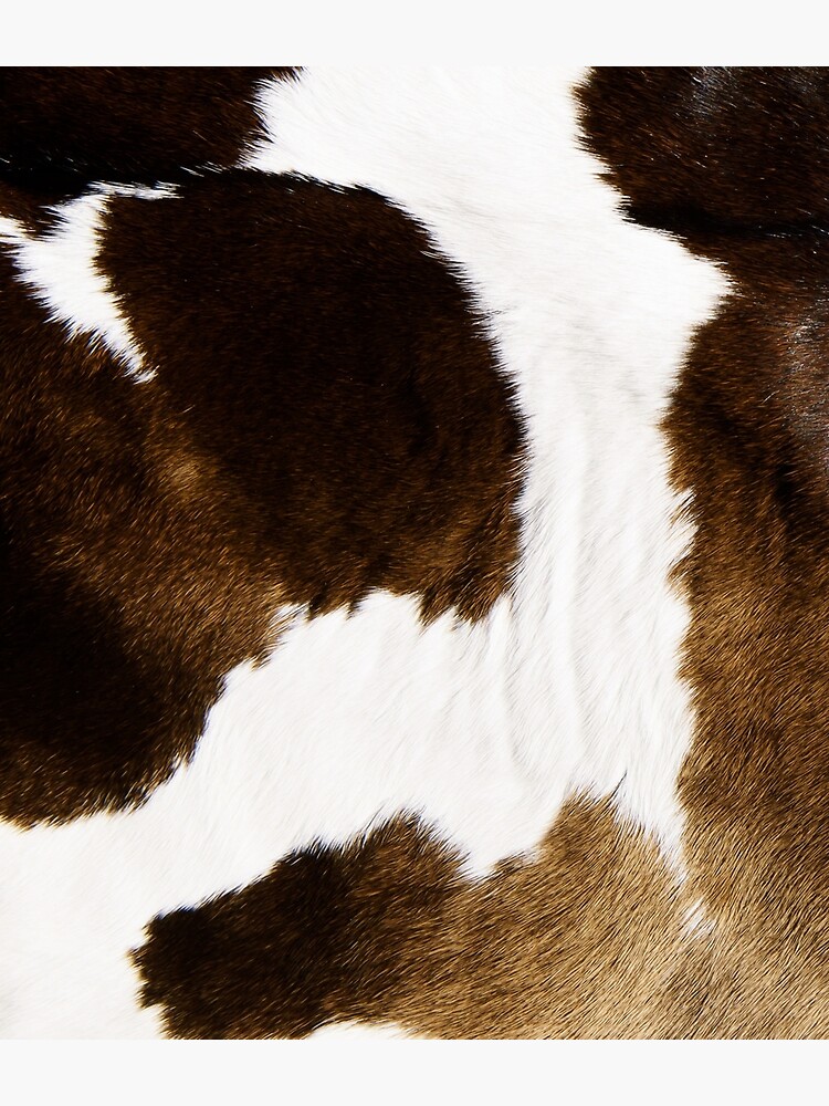 Modern Cowhide by cadinera