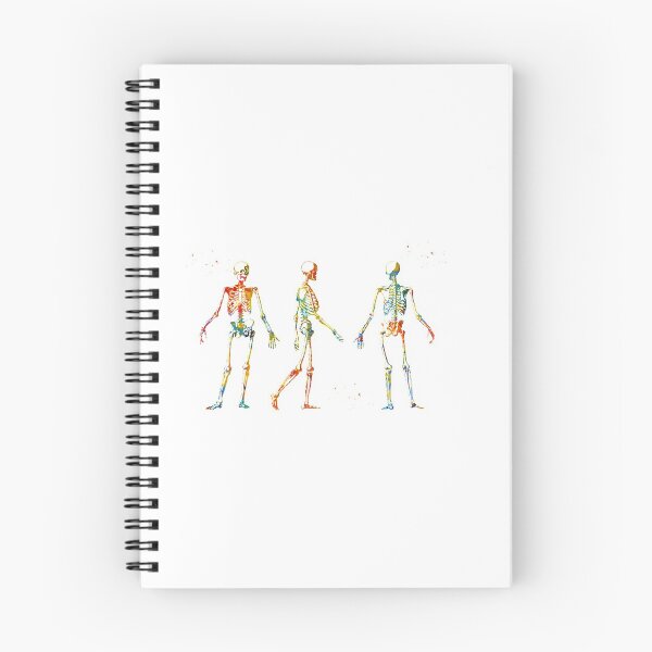 Item preview, Human Body Skeleton designed and sold by Liededrom..