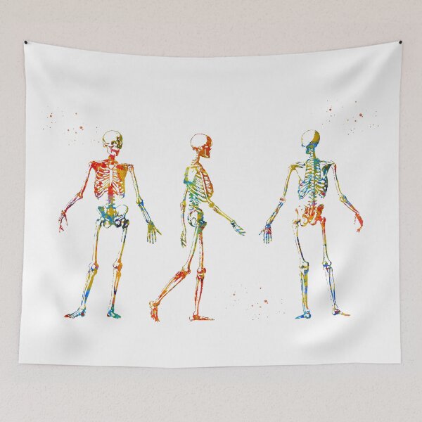 Item preview, Human Body Skeleton designed and sold by Liededrom..