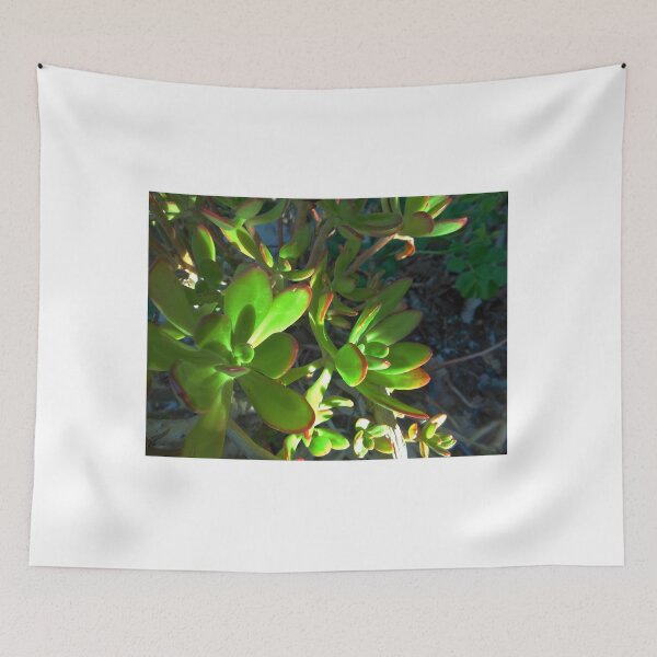Item preview, My Special Succulent  designed and sold by John N.  Stewart.
