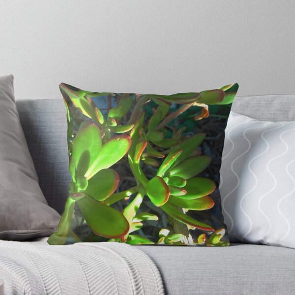 Item preview, My Special Succulent  designed and sold by John N.  Stewart.