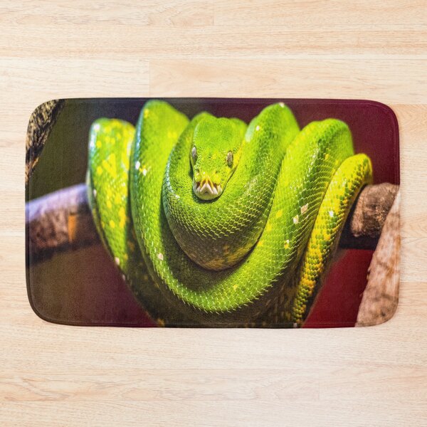 Item preview, fwc 2958 wildlife australia designed and sold by fred chiea.