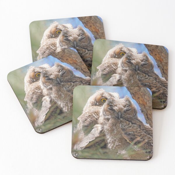 Item preview, Two Great Horned Owlets Cuddle designed and sold by MomentofPercep.