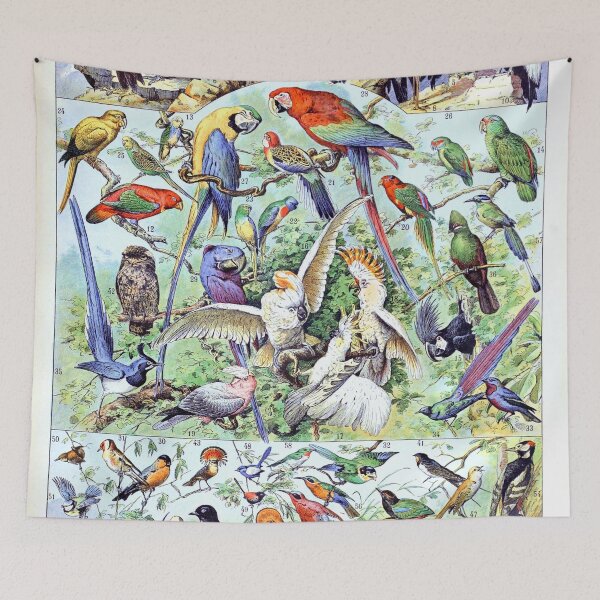 Item preview, Adolphe Millot - Oiseaux A - French vintage poster designed and sold by DejaVuStudio.
