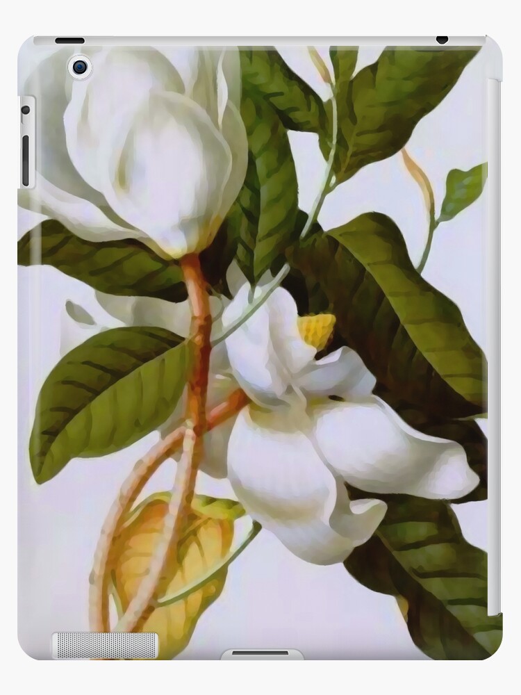Funda y vinilo para iPad «Arte botánico vintage de la flor de la magnolia  blanca» de bragova | Redbubble