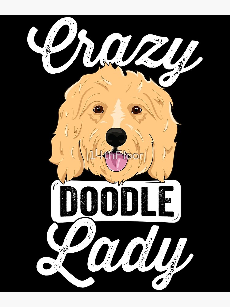crazy goldendoodle
