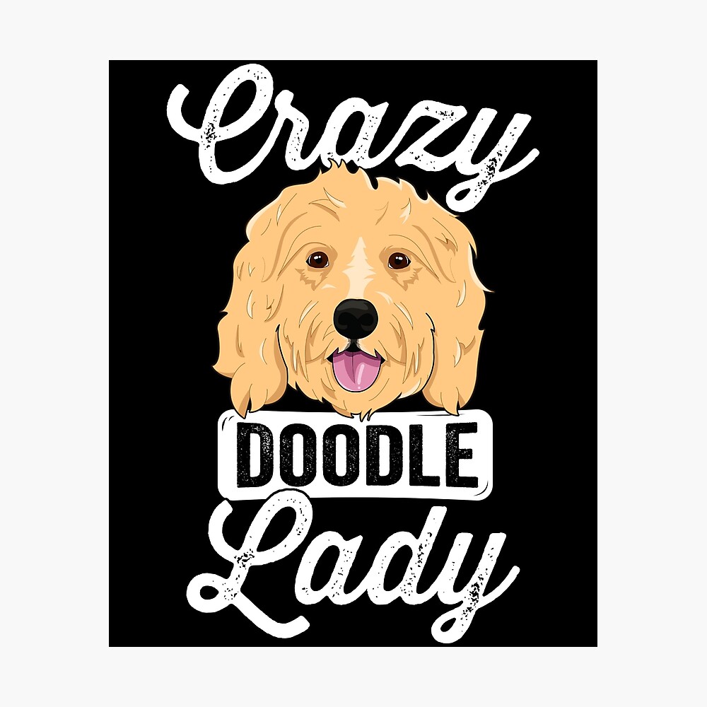 crazy goldendoodle