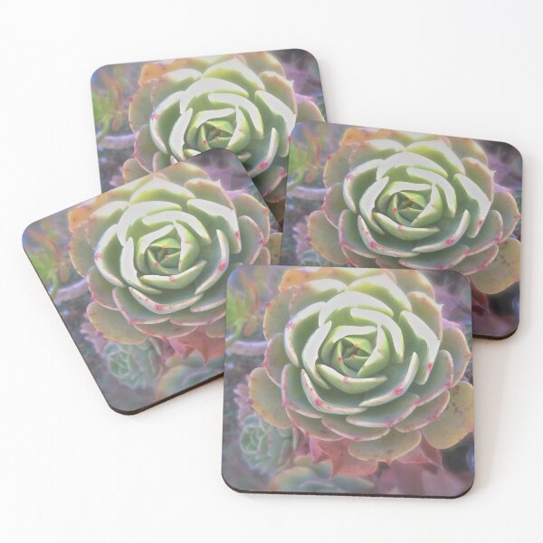 Item preview, Delicate Cactus designed and sold by John N.  Stewart.