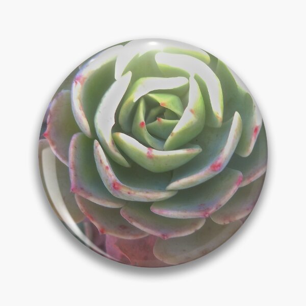 Item preview, Delicate Cactus designed and sold by John N.  Stewart.