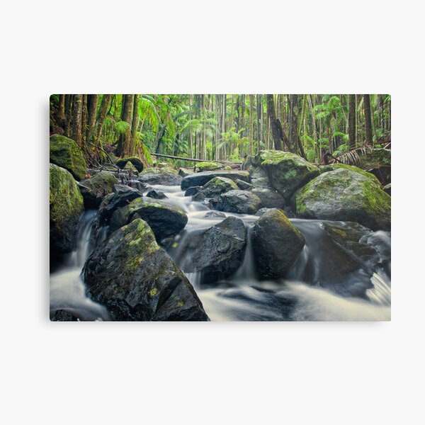 Item preview, Cedar Creek at Mt Tamborine designed and sold by PhotoByTrace.
