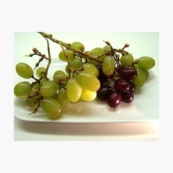 Item preview, Grape Harvest designed and sold by John N.  Stewart.