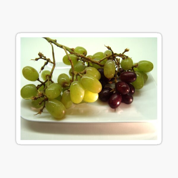 Item preview, Grape Harvest designed and sold by John N.  Stewart.