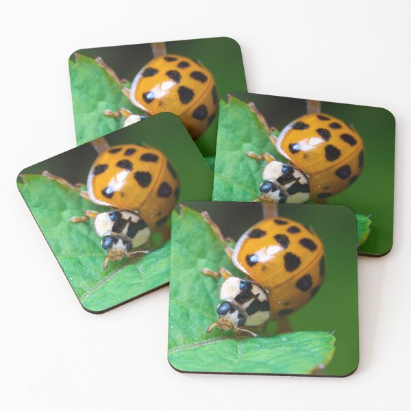 Item preview, Ladybug designed and sold by SorryToBugYou.