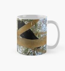 Three in a Tree, Botanic Gardens, Canberra, Australia. Mug