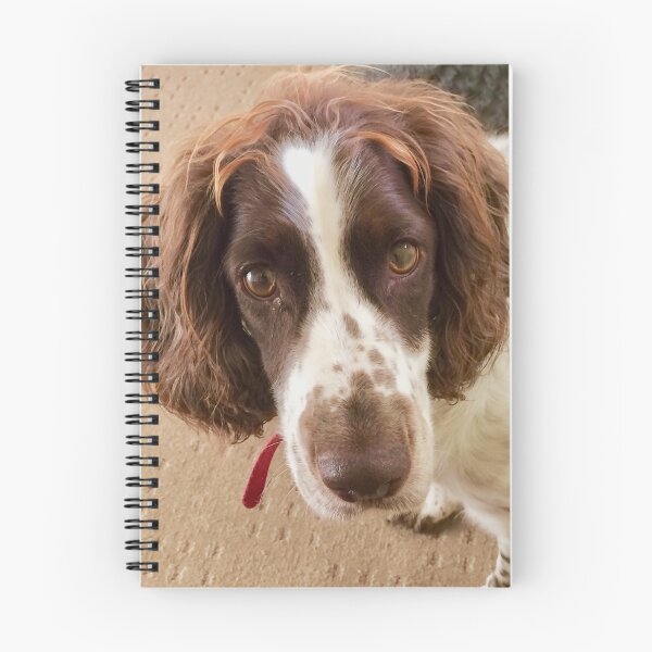 Item preview, Working Cocker Spaniel designed and sold by Carol Bleasdale.