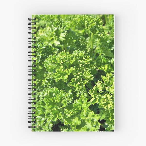 Item preview, Parsley designed and sold by CJGrimes.