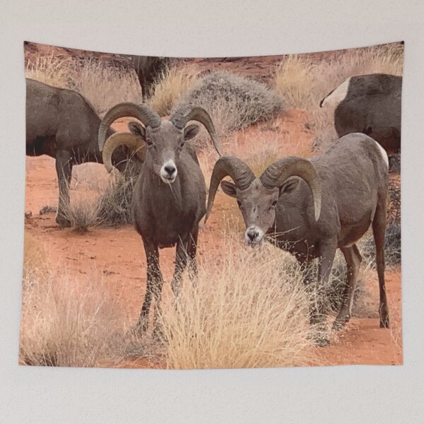 Item preview, Desert Bighorn designed and sold by GraceSage.
