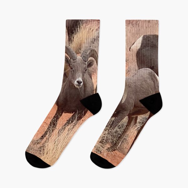 Item preview, Desert Bighorn designed and sold by GraceSage.