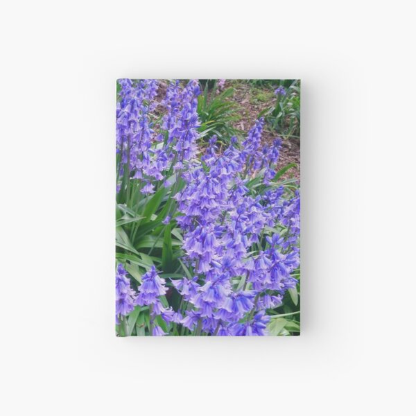 Bluebells #5 Hardcover Journal