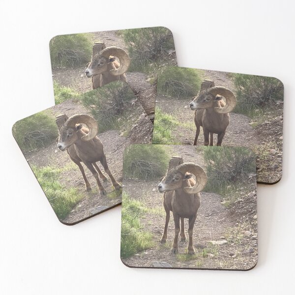 Item preview, Desert Bighorn designed and sold by GraceSage.