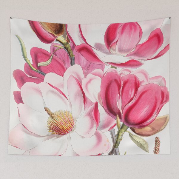 Item preview, Campbells Magnolia Print designed and sold by RougeAtelier.