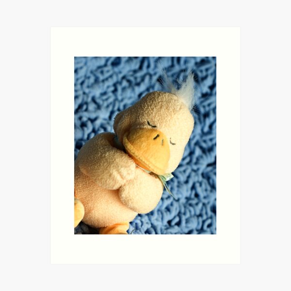 Quacker Art Print