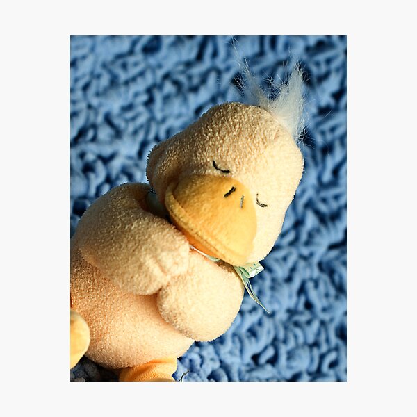 Quacker Photographic Print