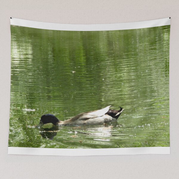 Item preview, magical green pond and a duck designed and sold by Stephanie  Skeem.