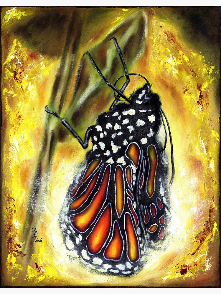 Thumbnail 3 of 3, Poster, Metamorphosis designed and sold by hilo.