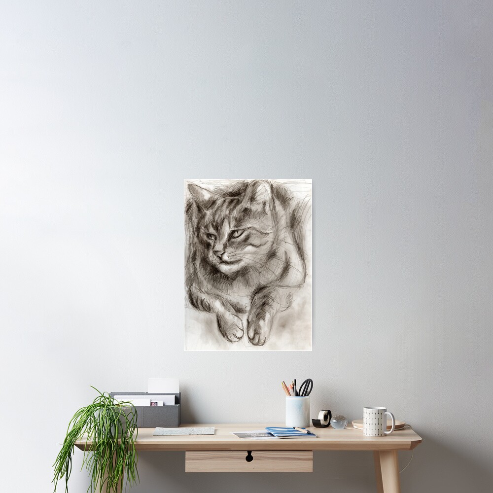 Cat Drawing Poster