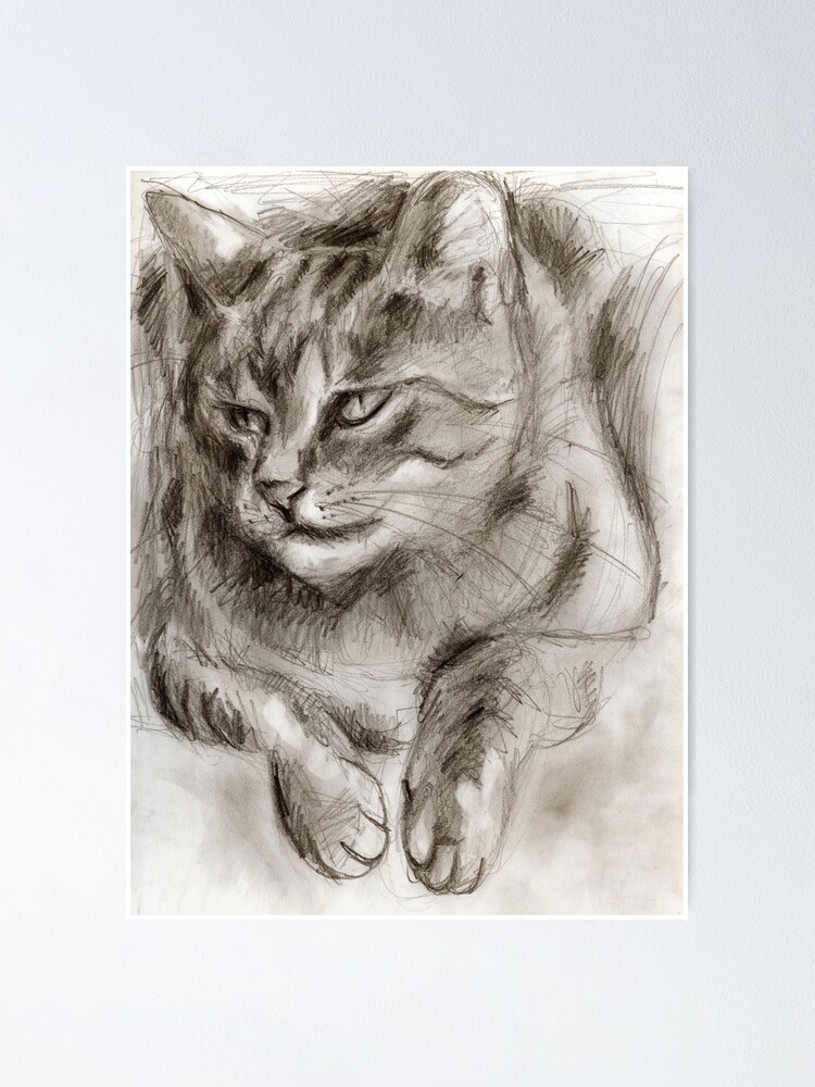 Alternate view of Cat Drawing Poster