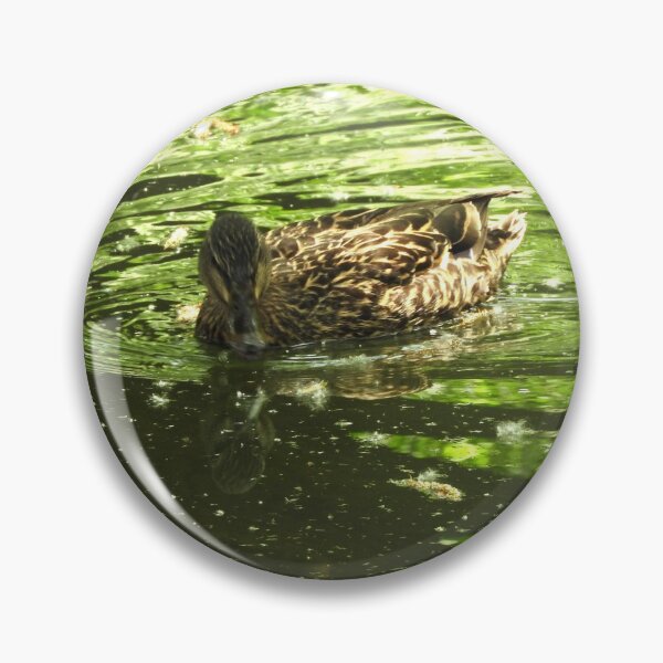 Item preview, Beautiful mallard duck swimming in a green pool with cottonwood fluff designed and sold by Stephanie  Skeem.