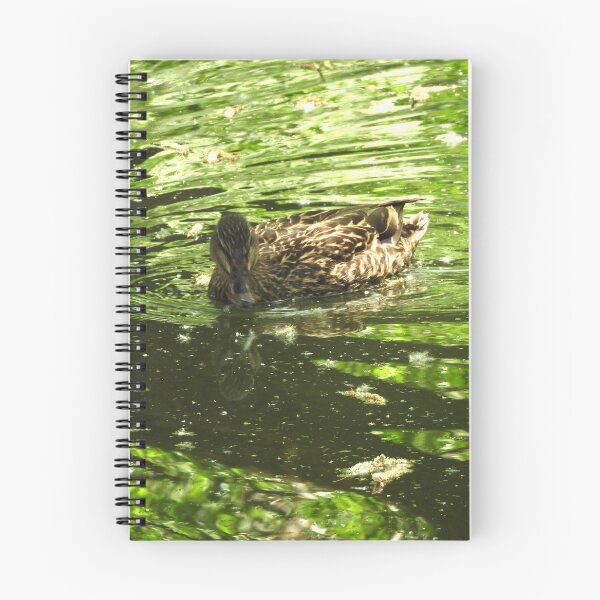 Item preview, Beautiful mallard duck swimming in a green pool with cottonwood fluff designed and sold by Stephanie  Skeem.