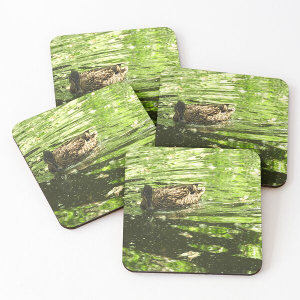 Item preview, Beautiful mallard duck swimming in a green pool with cottonwood fluff designed and sold by Stephanie  Skeem.