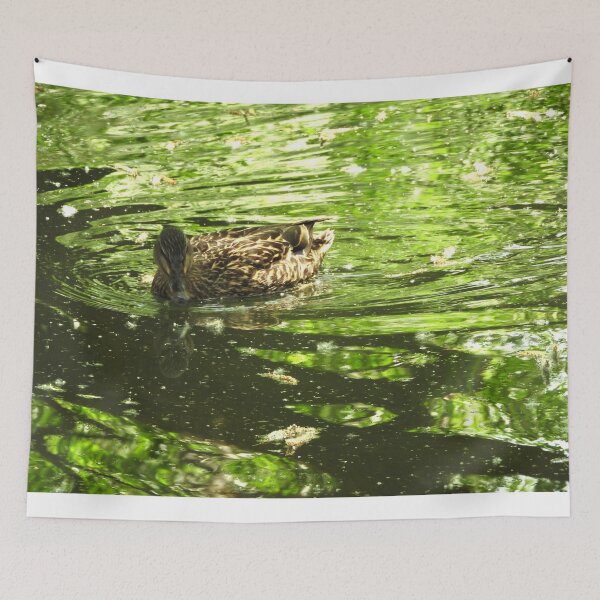 Item preview, Beautiful mallard duck swimming in a green pool with cottonwood fluff designed and sold by Stephanie  Skeem.