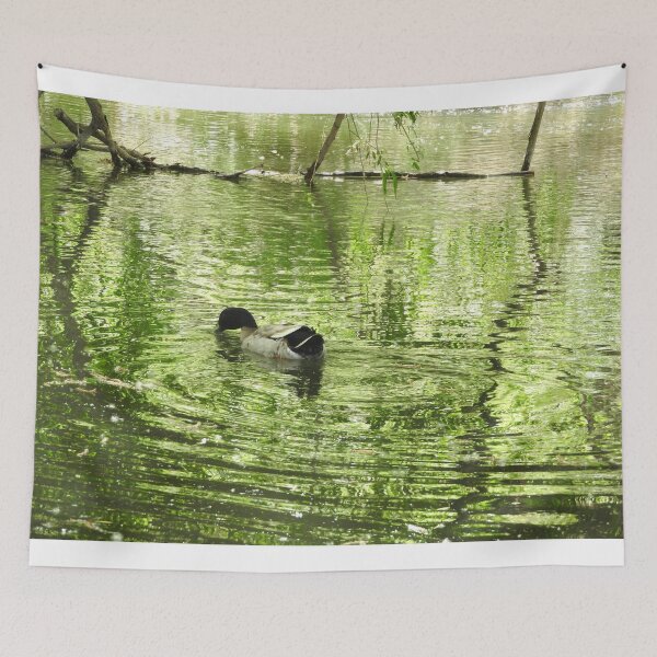 Item preview, beautiful duck pond, ripples designed and sold by Stephanie  Skeem.