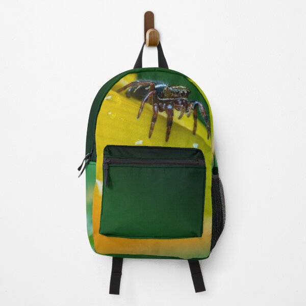 Item preview, Jumping Spider designed and sold by SorryToBugYou.