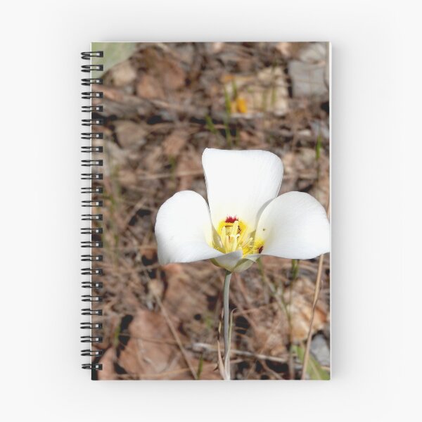 Item preview, Utah sego lily designed and sold by Stephanie  Skeem.