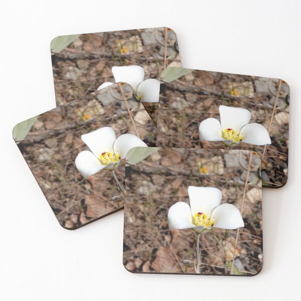Item preview, Utah sego lily designed and sold by Stephanie  Skeem.