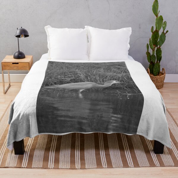Item preview, Birds A white faced heron bird - black and white, portrait designed and sold by Jason Gilbert.