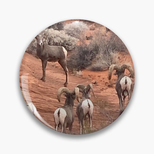 Item preview, Desert Bighorn designed and sold by GraceSage.