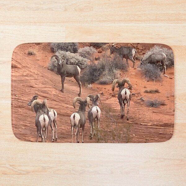 Item preview, Desert Bighorn designed and sold by GraceSage.