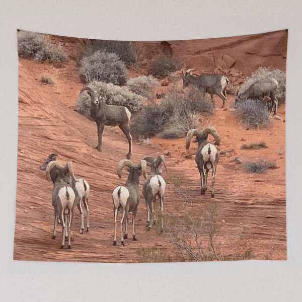 Item preview, Desert Bighorn designed and sold by GraceSage.