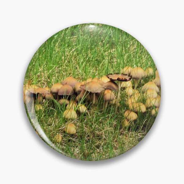 Item preview, Mushrooms! designed and sold by CJGrimes.