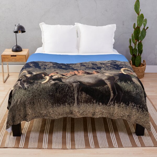 Item preview, Desert Bighorn designed and sold by GraceSage.